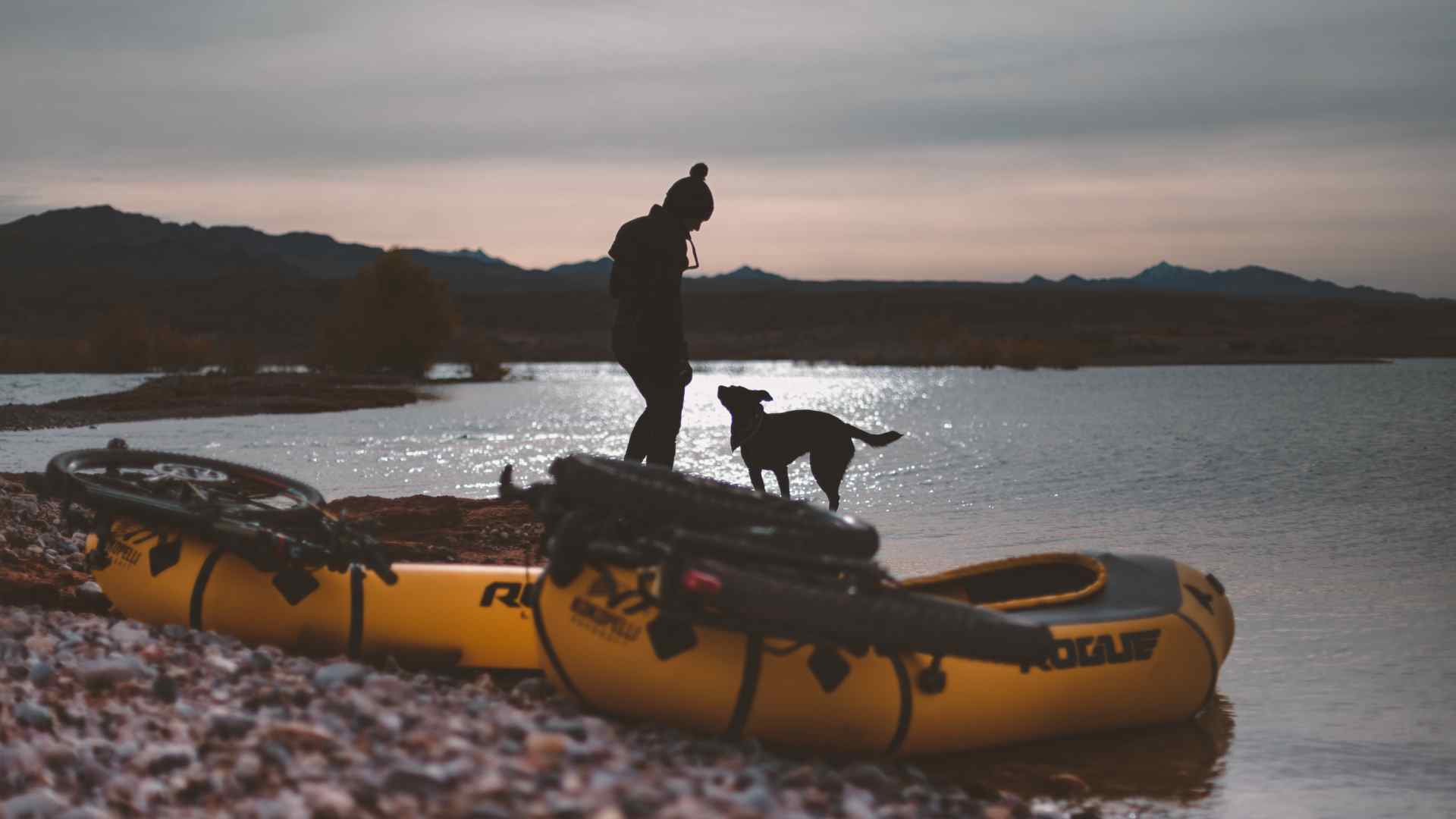 Tips for Taking Your Dog on a Canoe